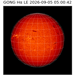 gong - 2026-09-05T05:00:42