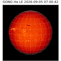 gong - 2026-09-05T07:00:42