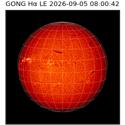 gong - 2026-09-05T08:00:42