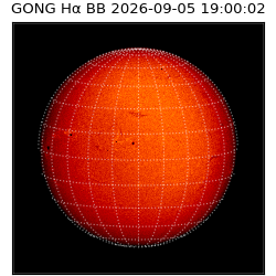 gong - 2026-09-05T19:00:02
