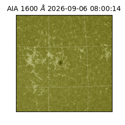 saia - 2026-09-06T08:00:14.124000