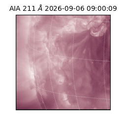 saia - 2026-09-06T09:00:09.624000