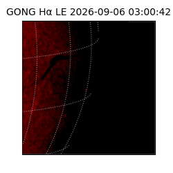 gong - 2026-09-06T03:00:42