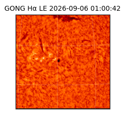 gong - 2026-09-06T01:00:42