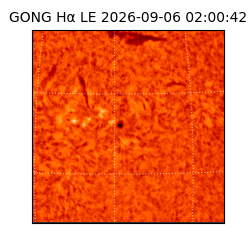 gong - 2026-09-06T02:00:42