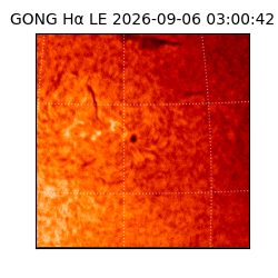 gong - 2026-09-06T03:00:42