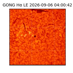gong - 2026-09-06T04:00:42