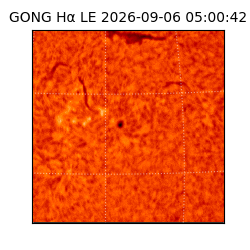 gong - 2026-09-06T05:00:42