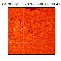 gong - 2026-09-06T08:00:42