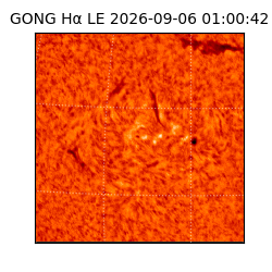 gong - 2026-09-06T01:00:42