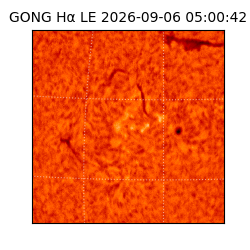 gong - 2026-09-06T05:00:42