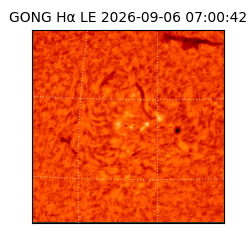 gong - 2026-09-06T07:00:42