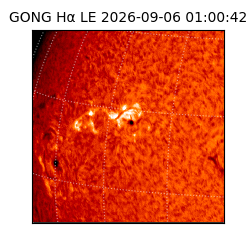 gong - 2026-09-06T01:00:42