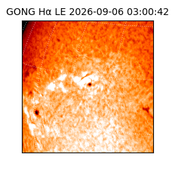 gong - 2026-09-06T03:00:42