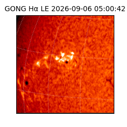 gong - 2026-09-06T05:00:42