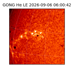gong - 2026-09-06T06:00:42