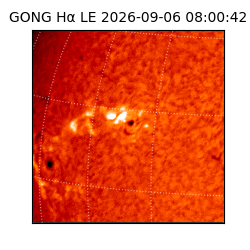 gong - 2026-09-06T08:00:42
