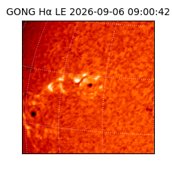 gong - 2026-09-06T09:00:42
