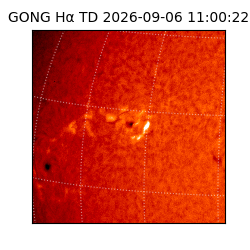 gong - 2026-09-06T11:00:22