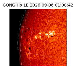 gong - 2026-09-06T01:00:42