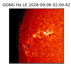 gong - 2026-09-06T02:00:42