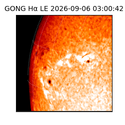 gong - 2026-09-06T03:00:42