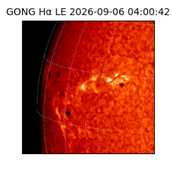 gong - 2026-09-06T04:00:42