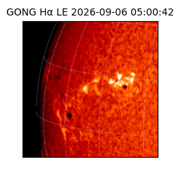 gong - 2026-09-06T05:00:42
