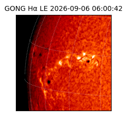 gong - 2026-09-06T06:00:42