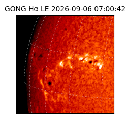 gong - 2026-09-06T07:00:42