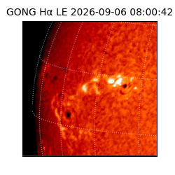 gong - 2026-09-06T08:00:42