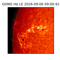 gong - 2026-09-06T09:00:42