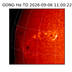 gong - 2026-09-06T11:00:22