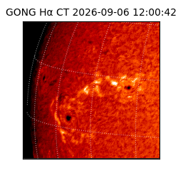 gong - 2026-09-06T12:00:42