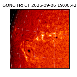 gong - 2026-09-06T19:00:42