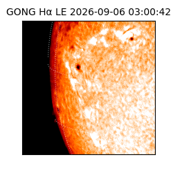 gong - 2026-09-06T03:00:42