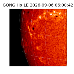gong - 2026-09-06T06:00:42