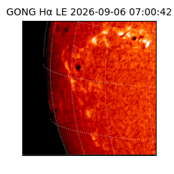 gong - 2026-09-06T07:00:42