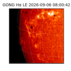 gong - 2026-09-06T08:00:42