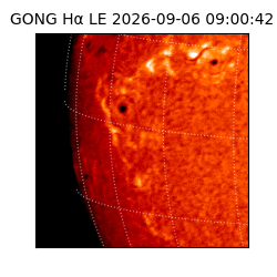 gong - 2026-09-06T09:00:42
