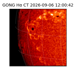 gong - 2026-09-06T12:00:42