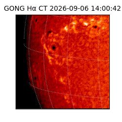 gong - 2026-09-06T14:00:42