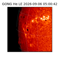 gong - 2026-09-06T05:00:42