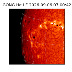 gong - 2026-09-06T07:00:42