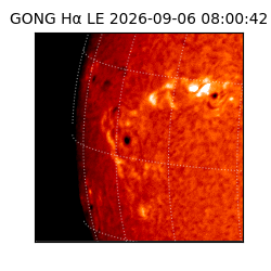 gong - 2026-09-06T08:00:42