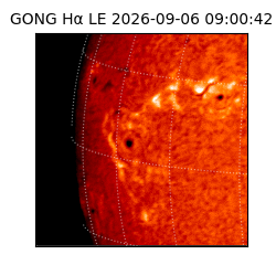 gong - 2026-09-06T09:00:42
