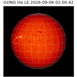 gong - 2026-09-06T02:00:42