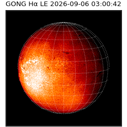 gong - 2026-09-06T03:00:42