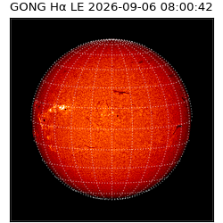 gong - 2026-09-06T08:00:42