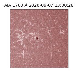 saia - 2026-09-07T13:00:28.717000
